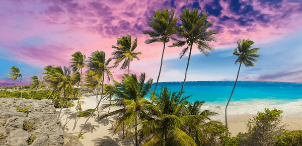 Lifeguard Training in Barbados