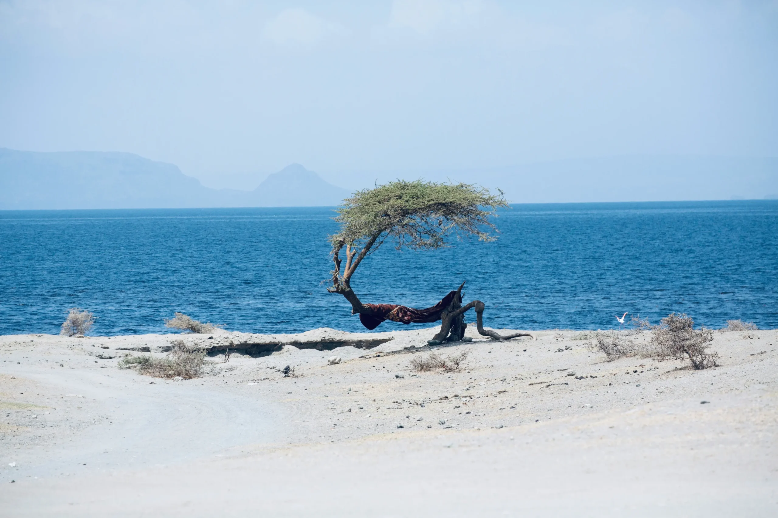 Lifeguard training in Ethiopia
