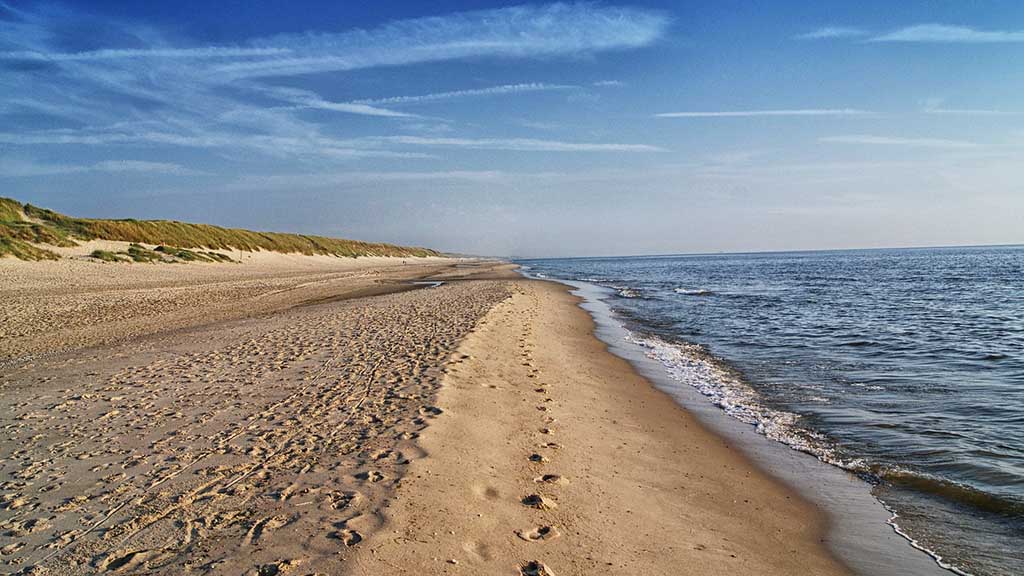 Lifeguard training in The Netherlands