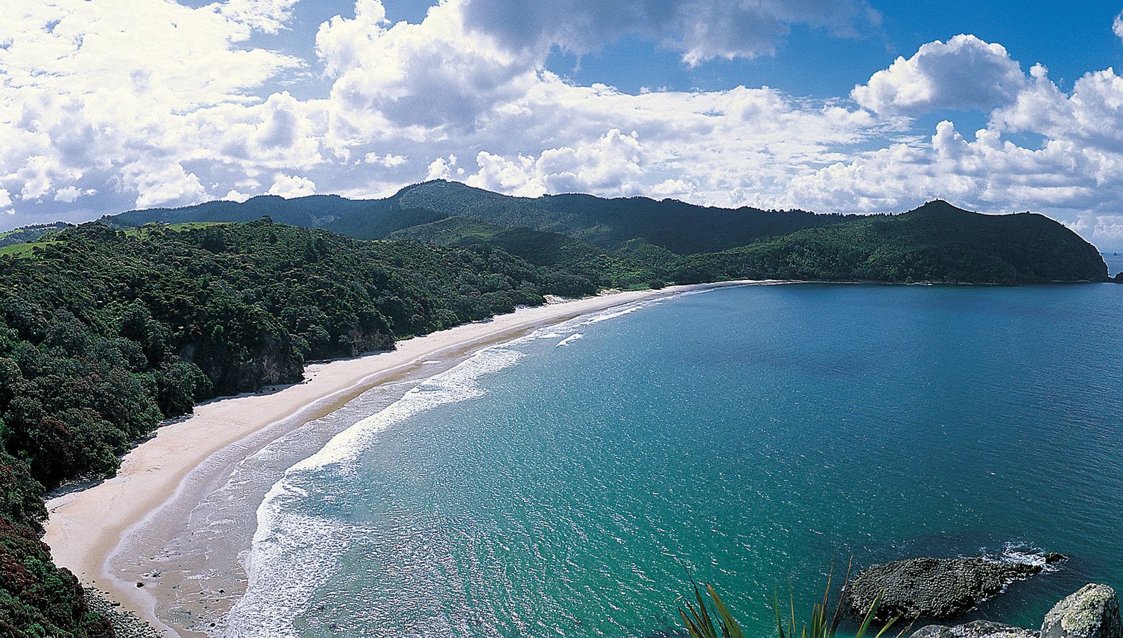 Lifeguard training in New Zealand