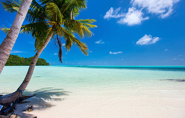 Lifeguard training in Palau