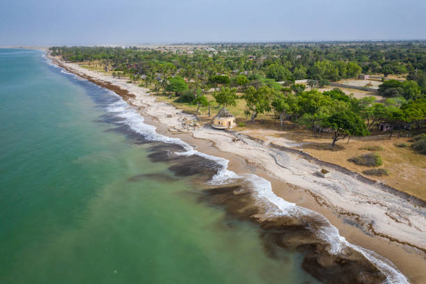 Lifeguard training in Senegal