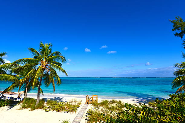 Lifeguard training in Turks And Caicos Islands