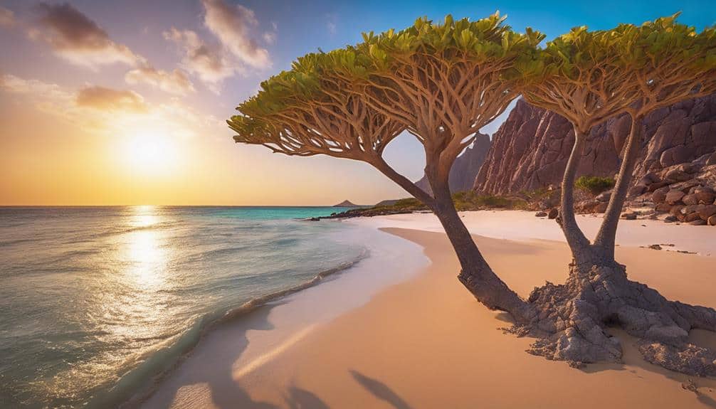 Lifeguard training in Yemen