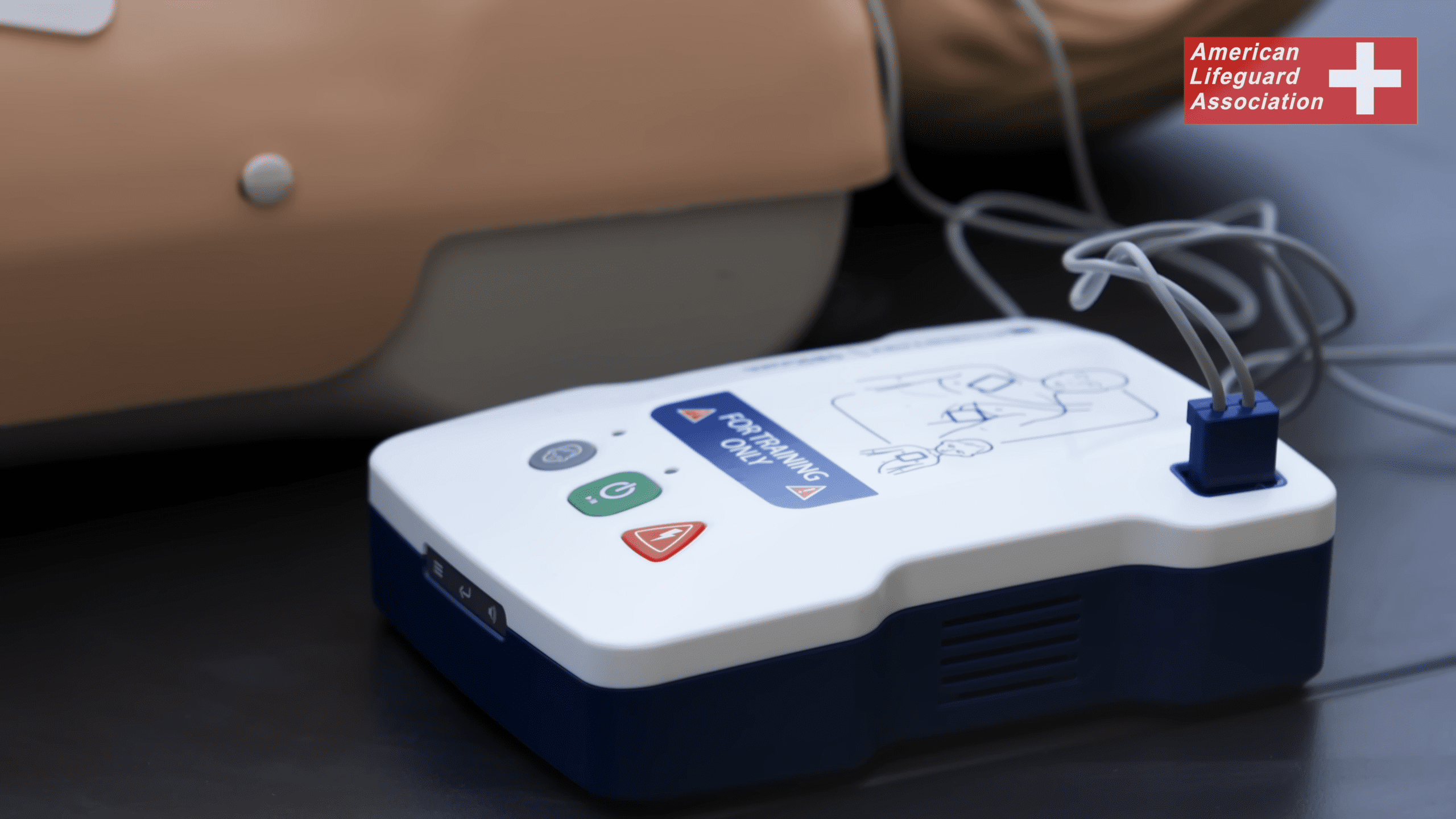 Lifeguard Training in Clinton County