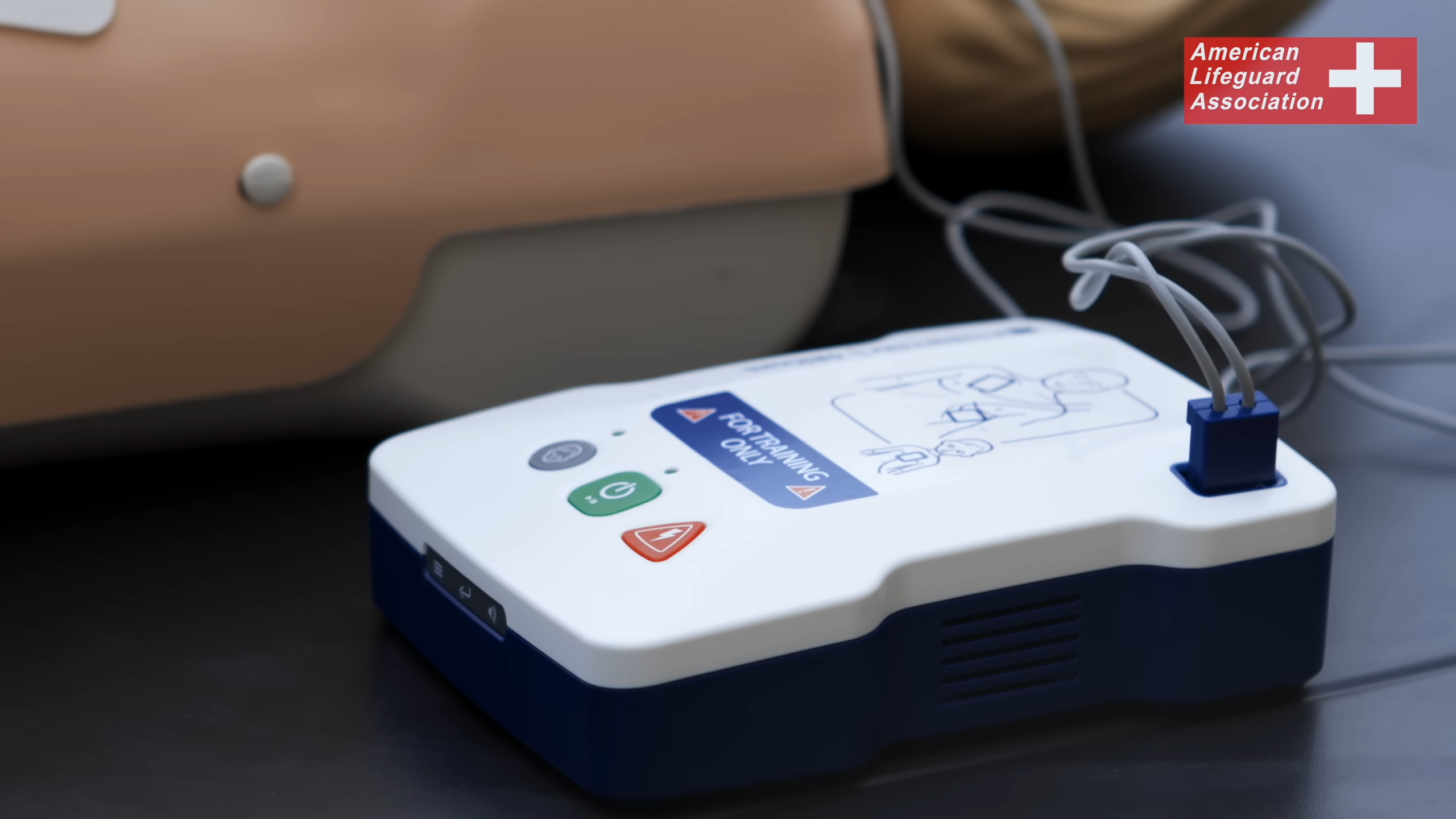  Lifeguard Training in Lycoming County