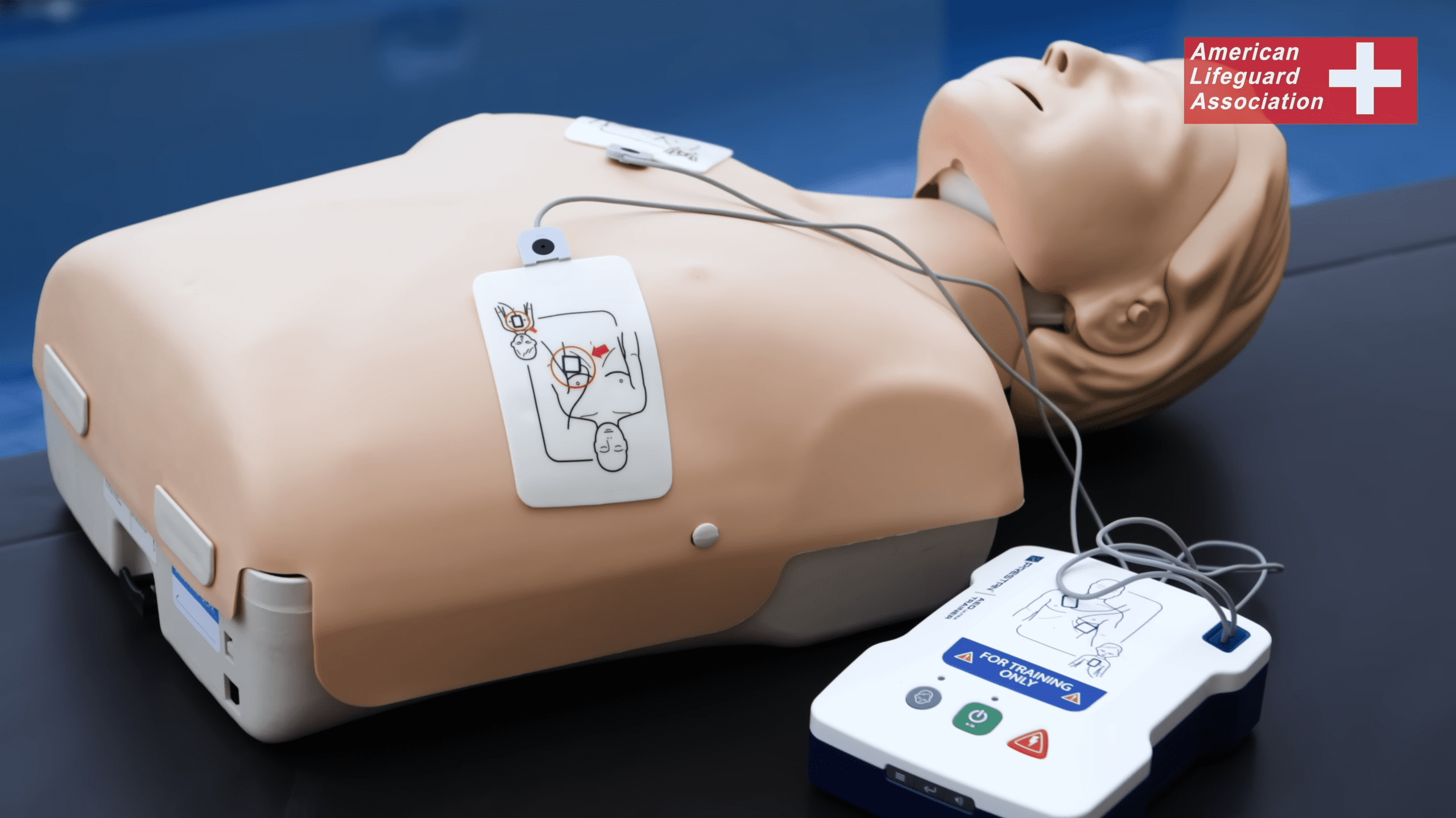 Lifeguard Training in Clinton County