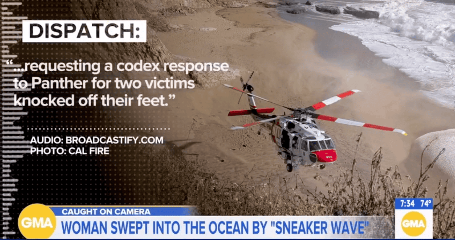 Sneaker Wave